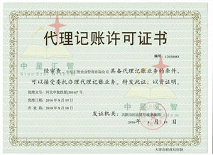 资深会计师专业服务 代理记账与报税解决方案——中星汇智企业管理产品中心