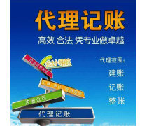 产品库代理记账 高效财务管理与企业发展的得力助手